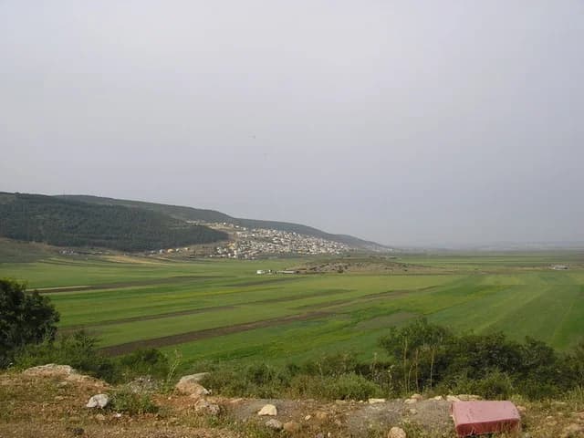 המועצה המקומית בועיינה-נג'ידאת