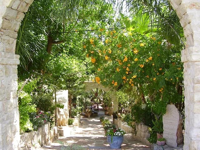 המועצה המקומית ג'ולס
