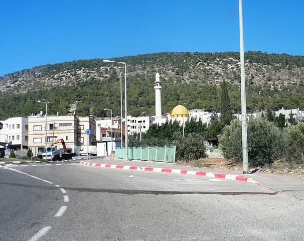 המועצה המקומית שבלי-אום אלגנם