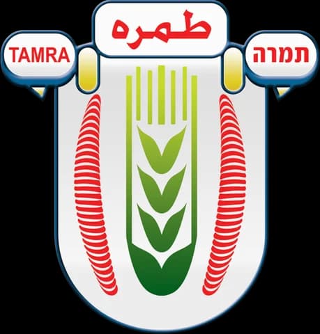עיריית טמרה