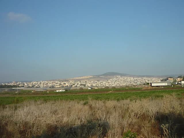 בית ספר טמרה