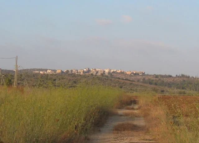בית ספר זמר